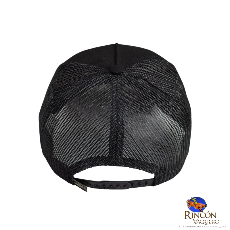Gorra Stetson 01