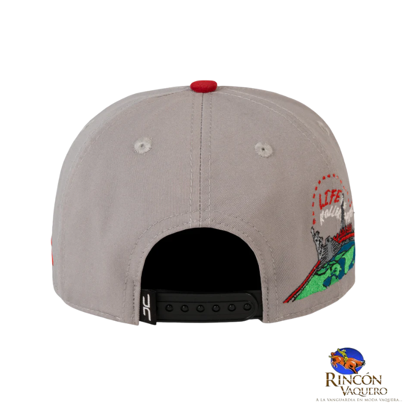 Gorra JC Hats University of life Gray Curve