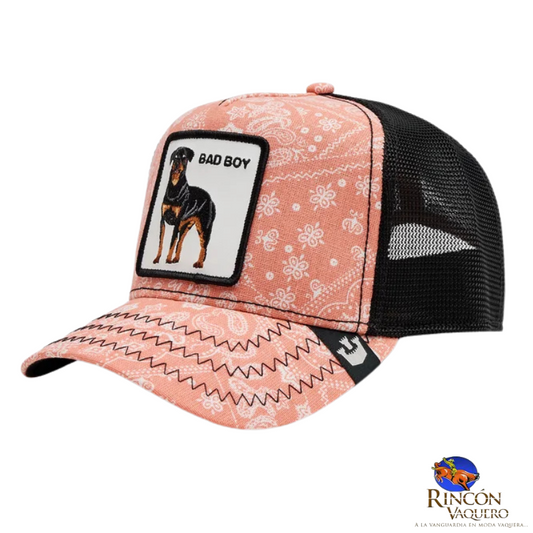 Gorra Goorin Bros Caballero