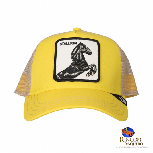 Gorra Goorin Bros Caballero