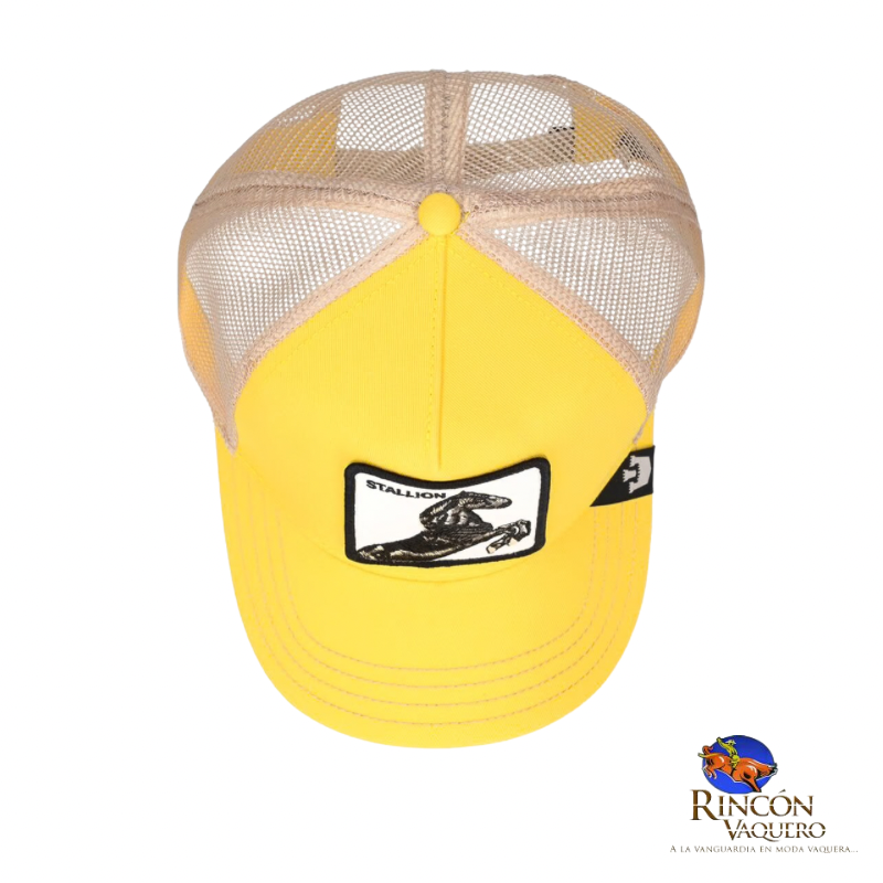 Gorra Goorin Bros Caballero