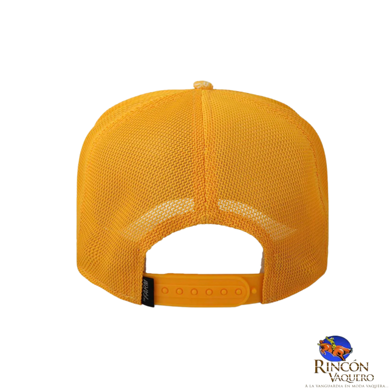 Gorra Goorin Bros Caballero