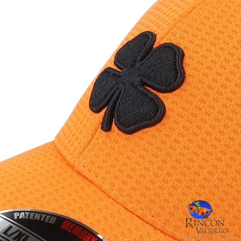 Gorra Black Clover Flex Waffle 14