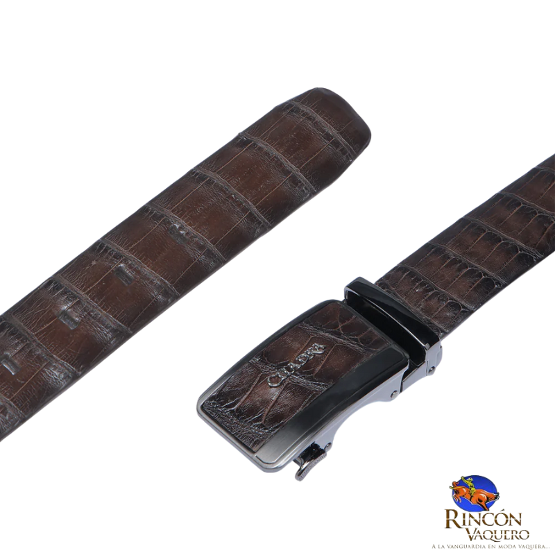 Cinturón Cuadra Alligator Col Be Lux Mok para caballero