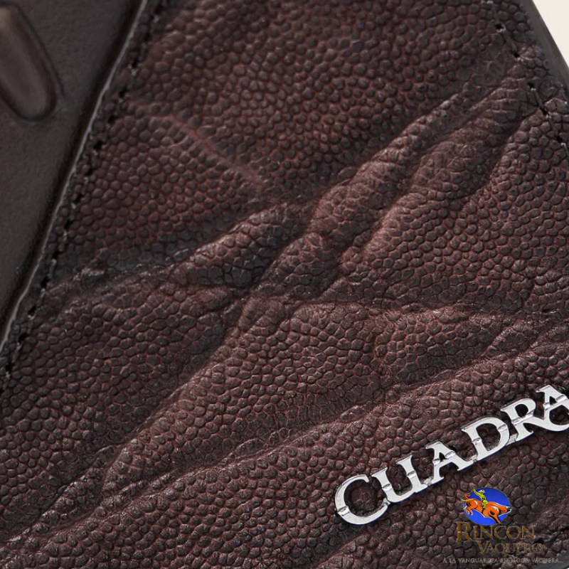 Billetera Cuadra Elefante para caballero