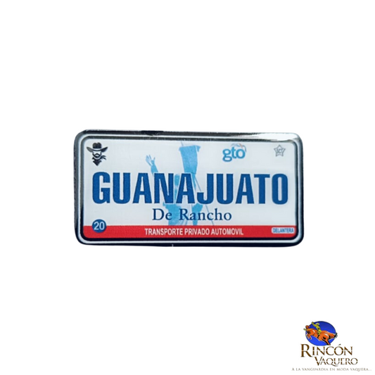 Pin Placa Guanajuato